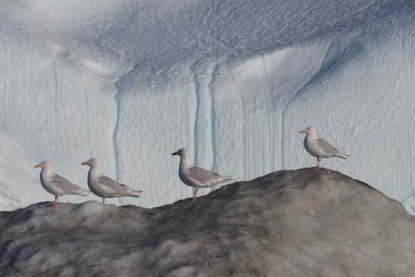Eqi Glacier