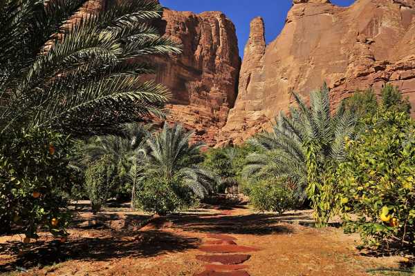 Couples Retreat AlUla