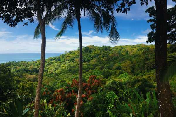 Las Chorreras and La Victoria Waterfalls