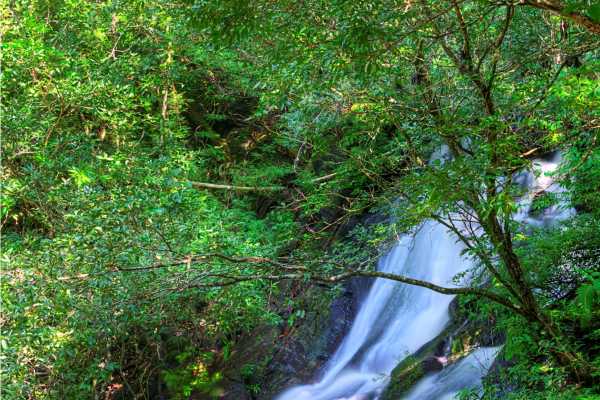 Las Chorreras and La Victoria Waterfalls