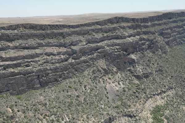 The Leopard Trail