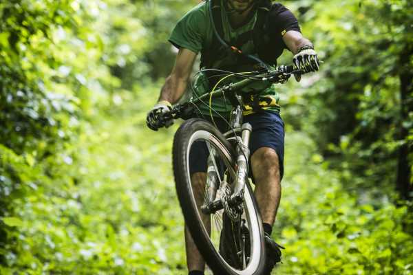 Tropical Trails Mountain Bike Tour