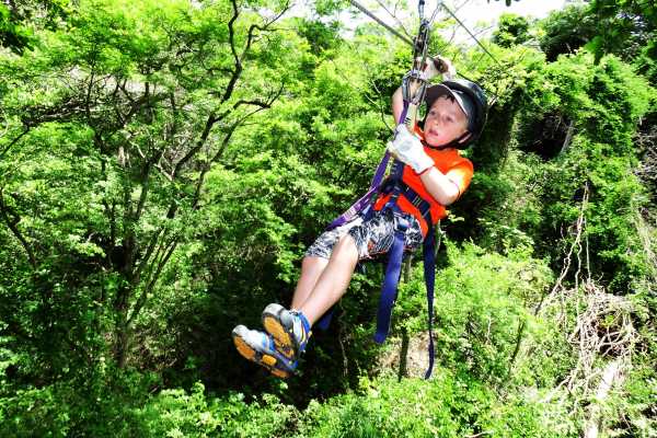 White Water Rafting and Canopy