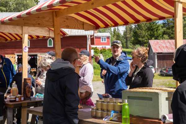 V&auml;lkommen till Sommarfr&ouml;jd p&aring; Medstugan