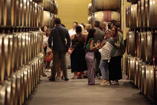 Tour e degustazione alle Tenute del Duca di Salaparuta