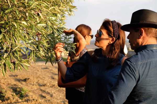 Oil and food tasting in provincia di Agrigento