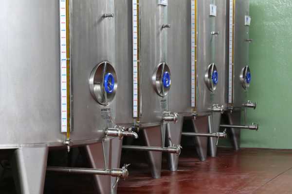 Degustazione di Olio EVO in provincia di Agrigento