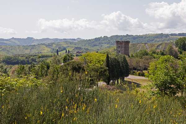 From tower to tower up to Via dell'Amore