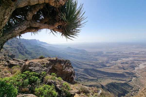 Private Custom Half Day Trip Salalah