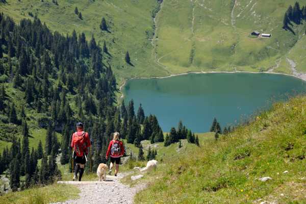 Culinary Trail on the Stockhorn