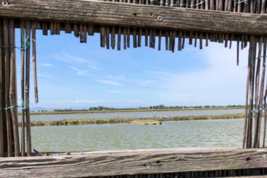 Discover Cervia (ERW) Salt-a stroll through protected nature