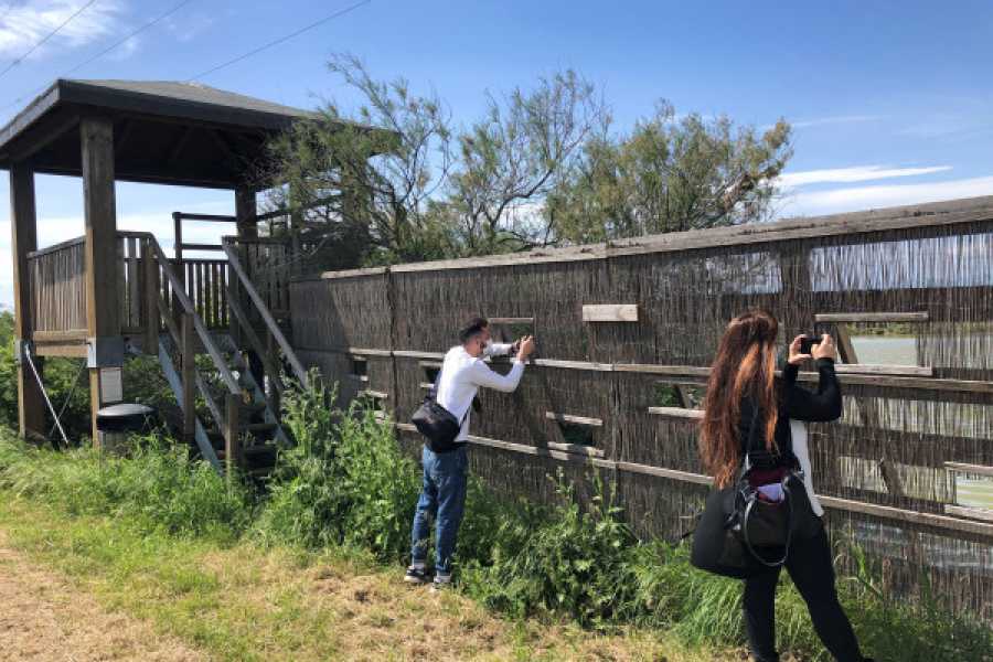 Discover Cervia (ERW) Salt-a stroll through protected nature