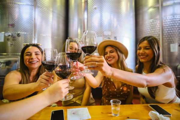 Chianti Vineyards half-day tour & 2 wine tastings