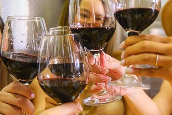Chianti Vineyards half-day tour & 2 wine tastings