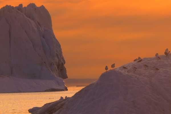 Sunset Tour
