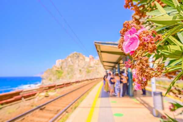 Cinque Terre tour - full day trip: Embrace the Sea Breeze
