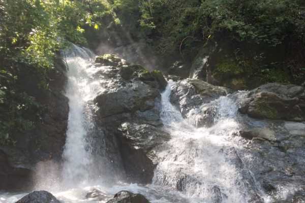 Blue Zone Nature Reserve and Waterfall Tour