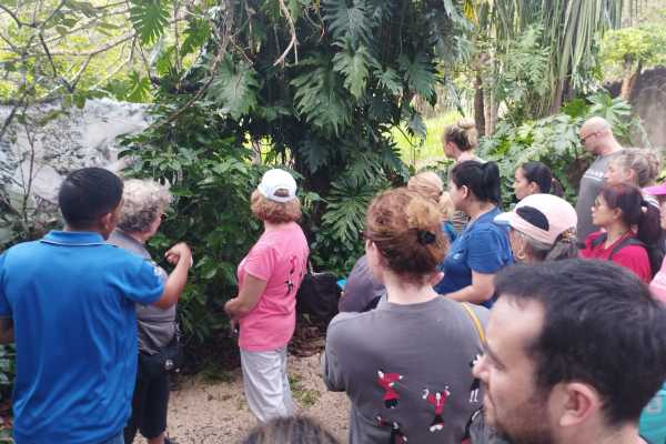 Blue Zone Nature Reserve and Waterfall Tour
