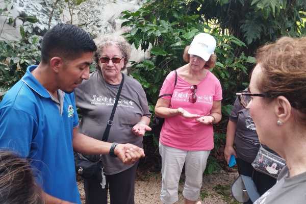 Blue Zone Nature Reserve and Waterfall Tour