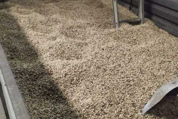 Blue Zone River Boat and Coffee Tour