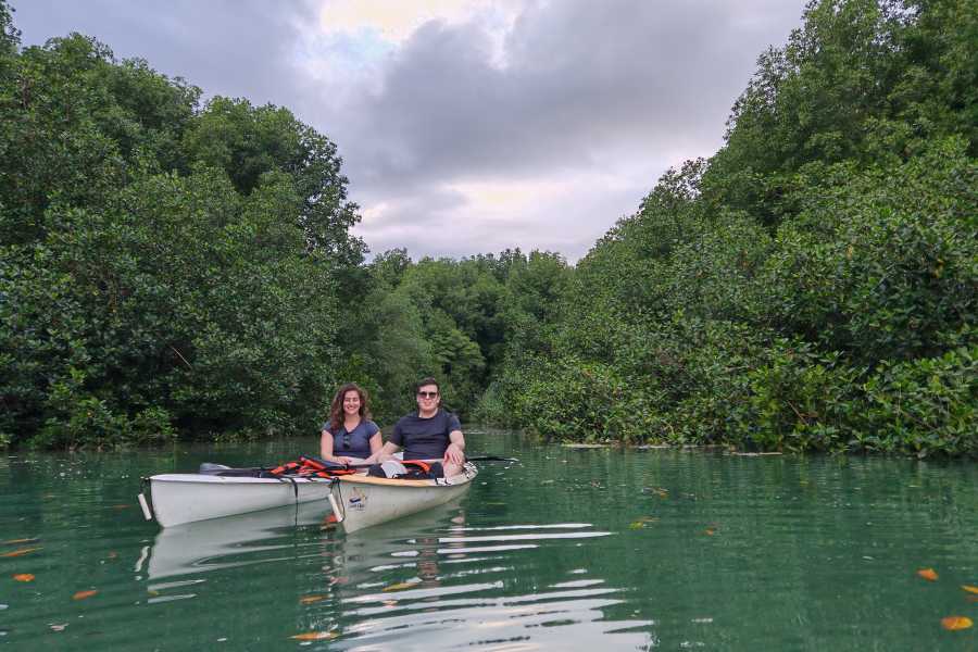 Aventuras Golfo Dulce MANGROVE KAYAKING