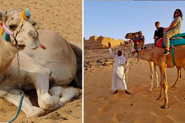 Day Trip To St. Simeon Monastery and Nobles tombs from Aswan