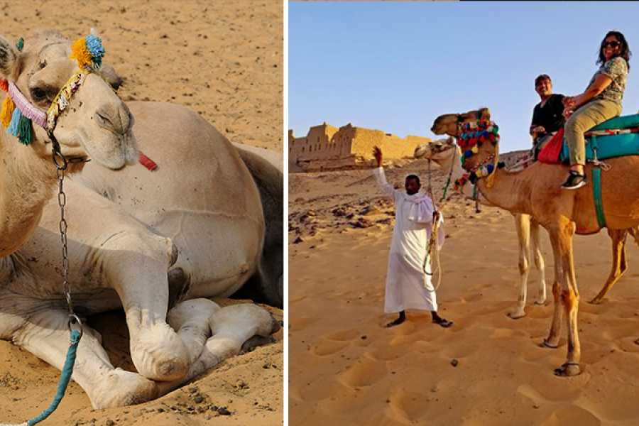 Egypt Tour packages Day Trip To St. Simeon Monastery and Nobles tombs from Aswan