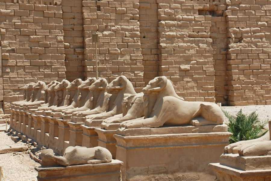Egypt Tour packages 11 Days Egypt Tour Package Cairo Nile Cruise and white desert