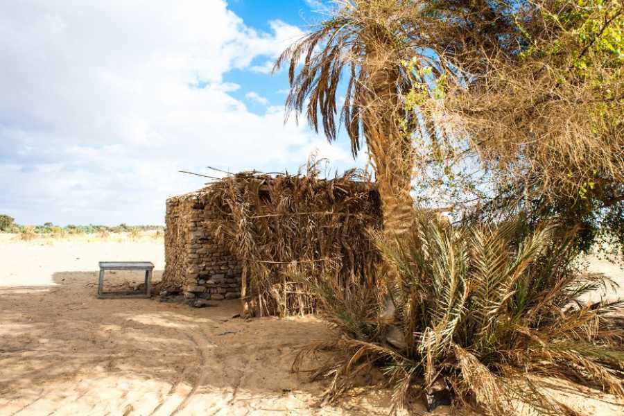 Egypt Tour packages 17 days Egypt tour Package