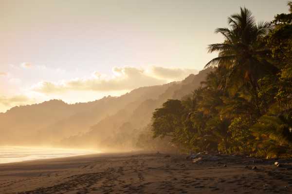 Congo Canopy Private ATV Tour