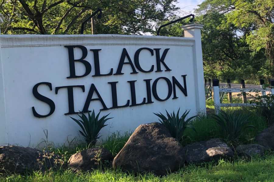 Black stallion ranch ATV & Canopy ZIP Combo Tour