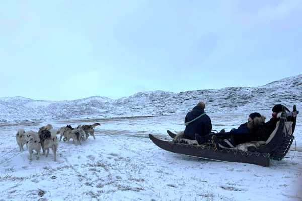 Unique Dogsled Experience