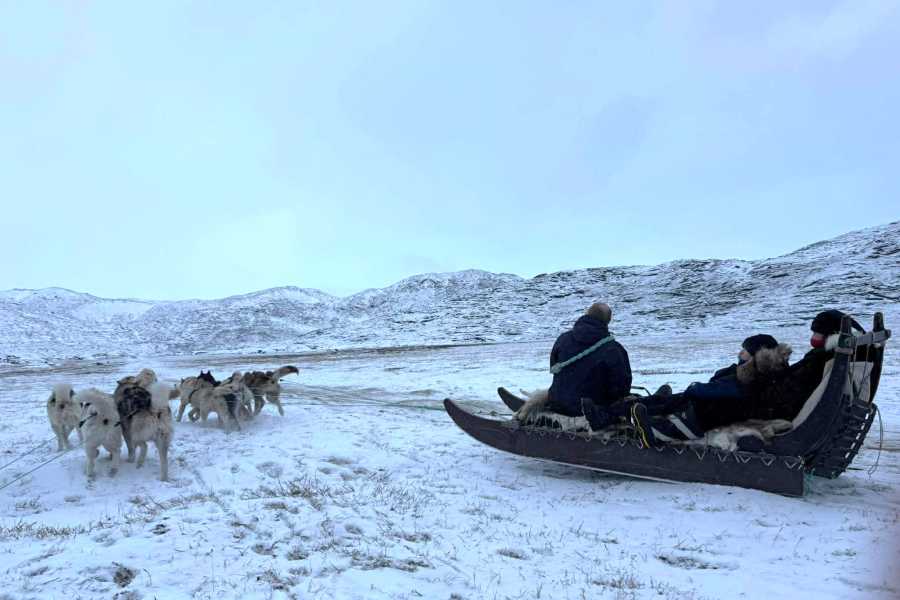Diskobay Tours Unique Dogsled Experience