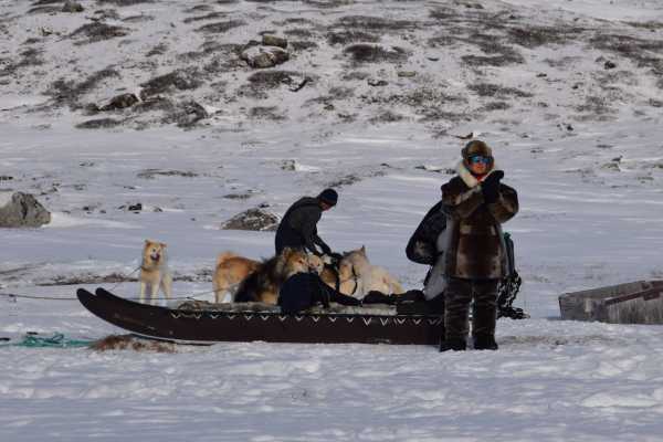 Dogsledding Adventure