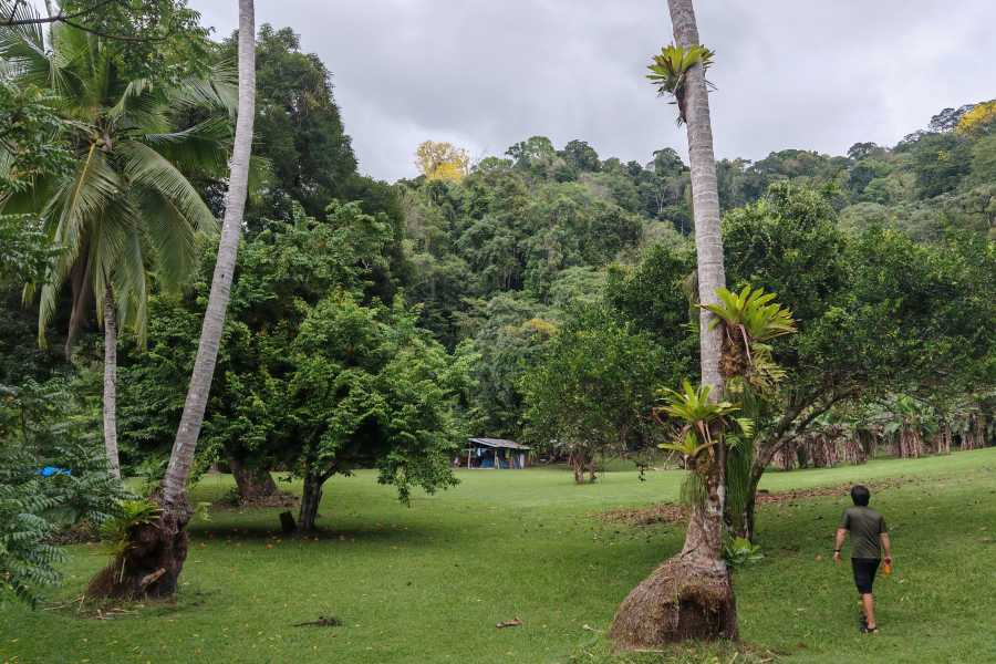 Aventuras Golfo Dulce 3 Days Kayak & Camping Excursion in Golfo Dulce