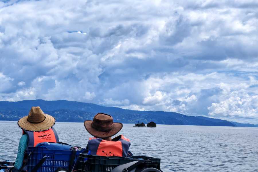 Aventuras Golfo Dulce 3 Days Kayak & Camping Excursion in Golfo Dulce