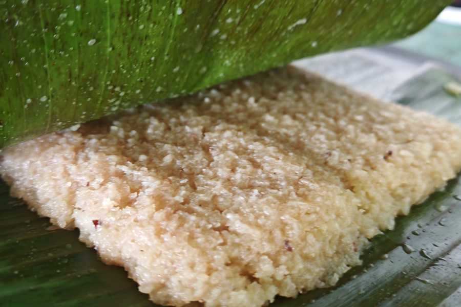 Aventuras Golfo Dulce 3 Days Kayak & Camping Excursion in Golfo Dulce