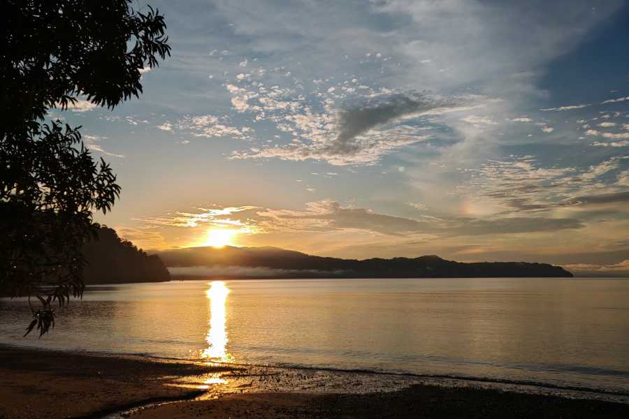 Aventuras Golfo Dulce 3 Days Kayak & Camping Excursion in Golfo Dulce