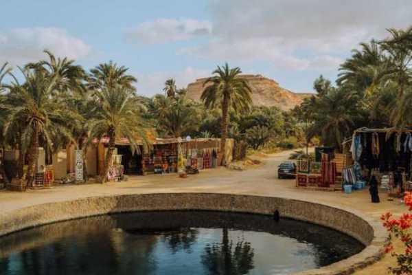 3 Day Trip to Siwa Oasis and Alexandria from Cairo