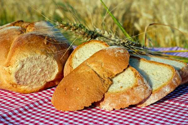 Tour privato in barca dello Stagnone di Marsala con pranzo a bordo