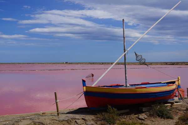 Tour privato in barca dello Stagnone di Marsala con pranzo a bordo