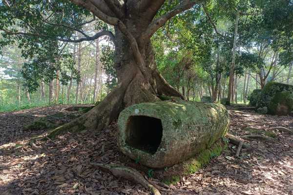Plain of jars daily tour