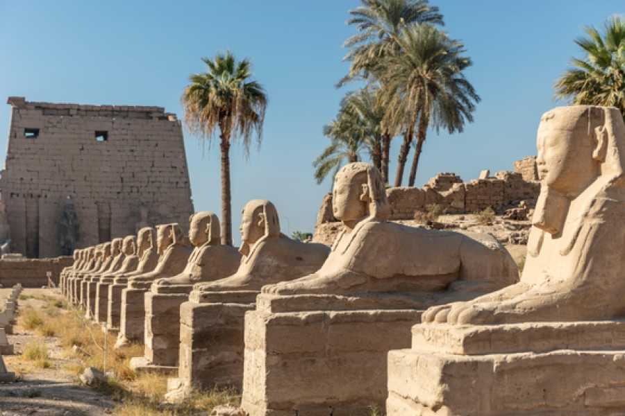 Egypt Tour packages Day Tour to Luxor from Hurghada