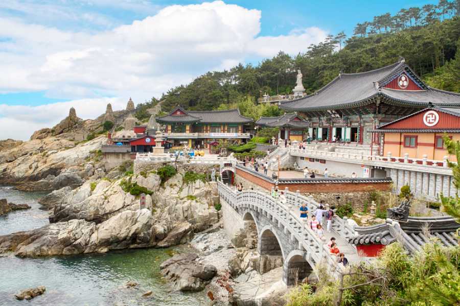 Check-in Korea with Jeju Island (15N 16D) - JSA(Joint