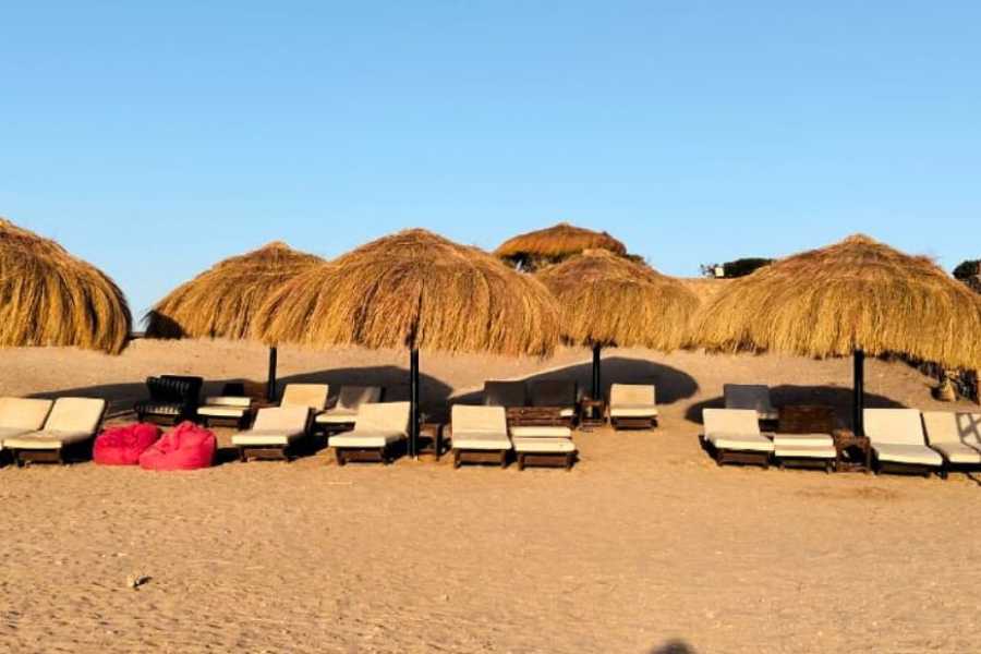 Egypt Tour packages 8 Days Itinerary Nile cruise and Red Sea from cairo