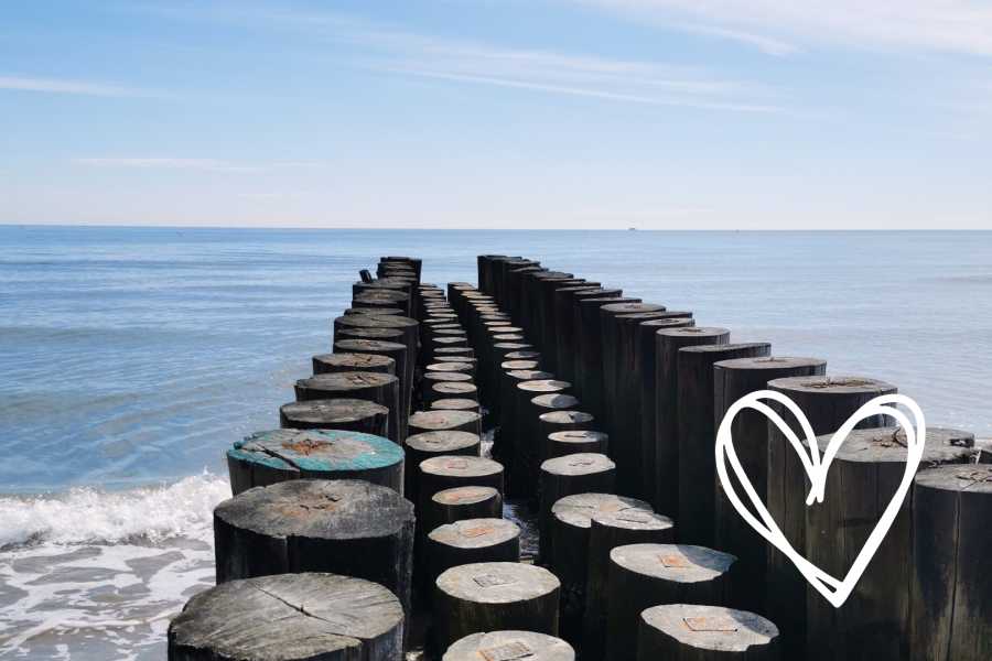 Discover Cervia (ERW) Baci da Cervia - Speciale San Valentino