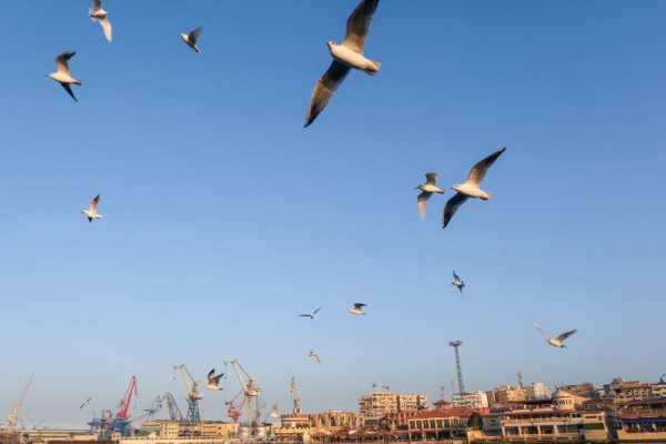 Transfer from Hotel in Port Said to Cairo airport