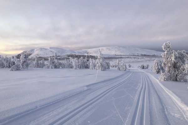 Langrennskurs sesongen 25/26