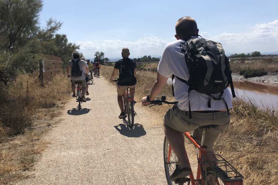 Discover Cervia (ERW) Salina - Riflessi dorati: pedalata con degustazione al tramonto