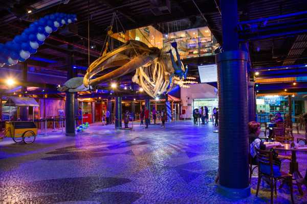 TOMORROW MUSEUM + AQUARIO + OLYMPIC BLVD